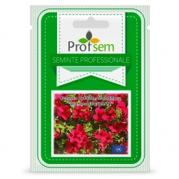 Image-product