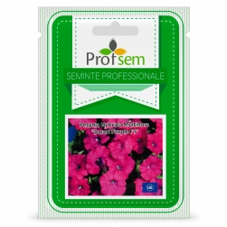 Image-product