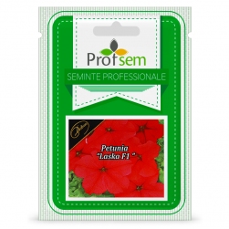 Image-product