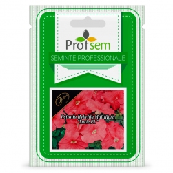 Image-product