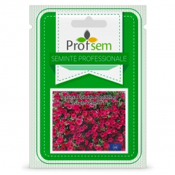 Image-product