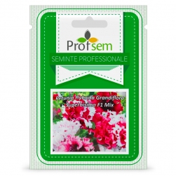 Image-product