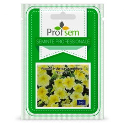 Image-product