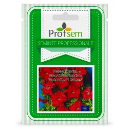 Image-product