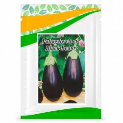 Image-product