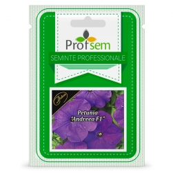 Image-product