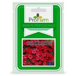 Image-product