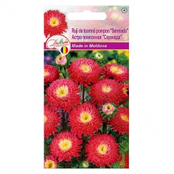 Image-product