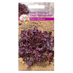 Image-product