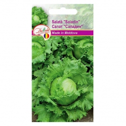 Image-product