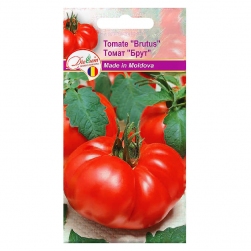 Image-product