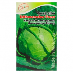 Image-product