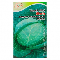 Image-product