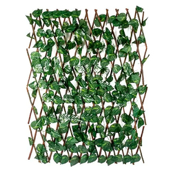 Image-product