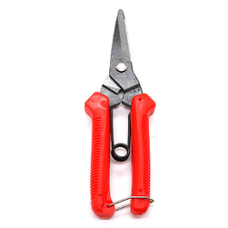 Image-product