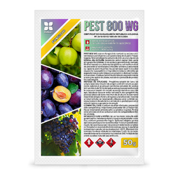 Image-product