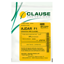 Image-product