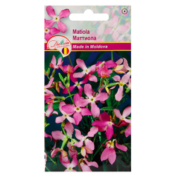 Image-product