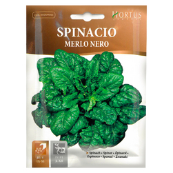 Image-product