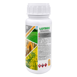 Image-product