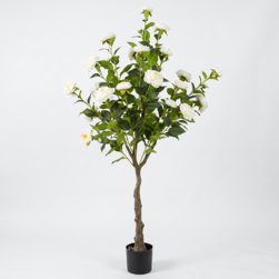 Image-product