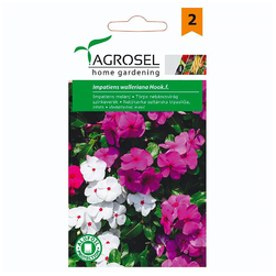 Image-product