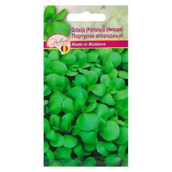 Image-product