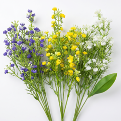 Image-product