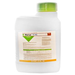 Image-product