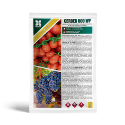 Image-product