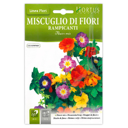 Image-product