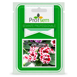 Image-product