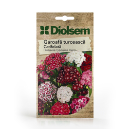 Image-product