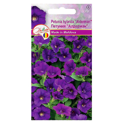 Image-product