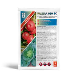 Image-product