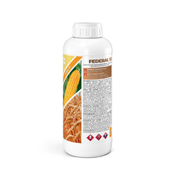Image-product