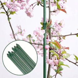 Image-product