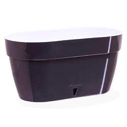 Image-product