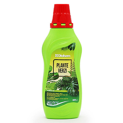 Image-product