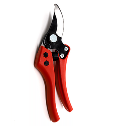 Image-product