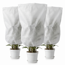 Image-product