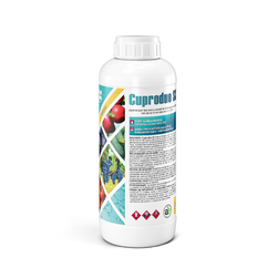 Image-product