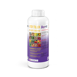 Image-product