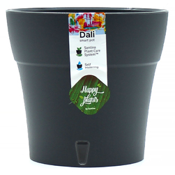 Image-product