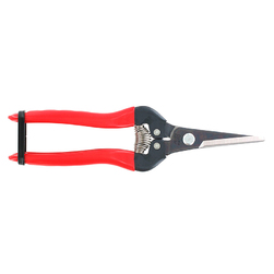 Image-product