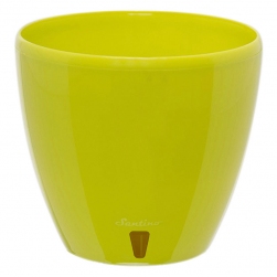 Image-product