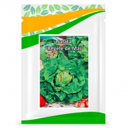 Image-product