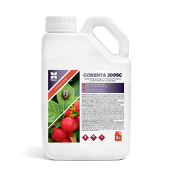 Image-product