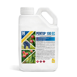 Image-product