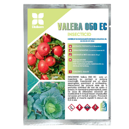 Image-product